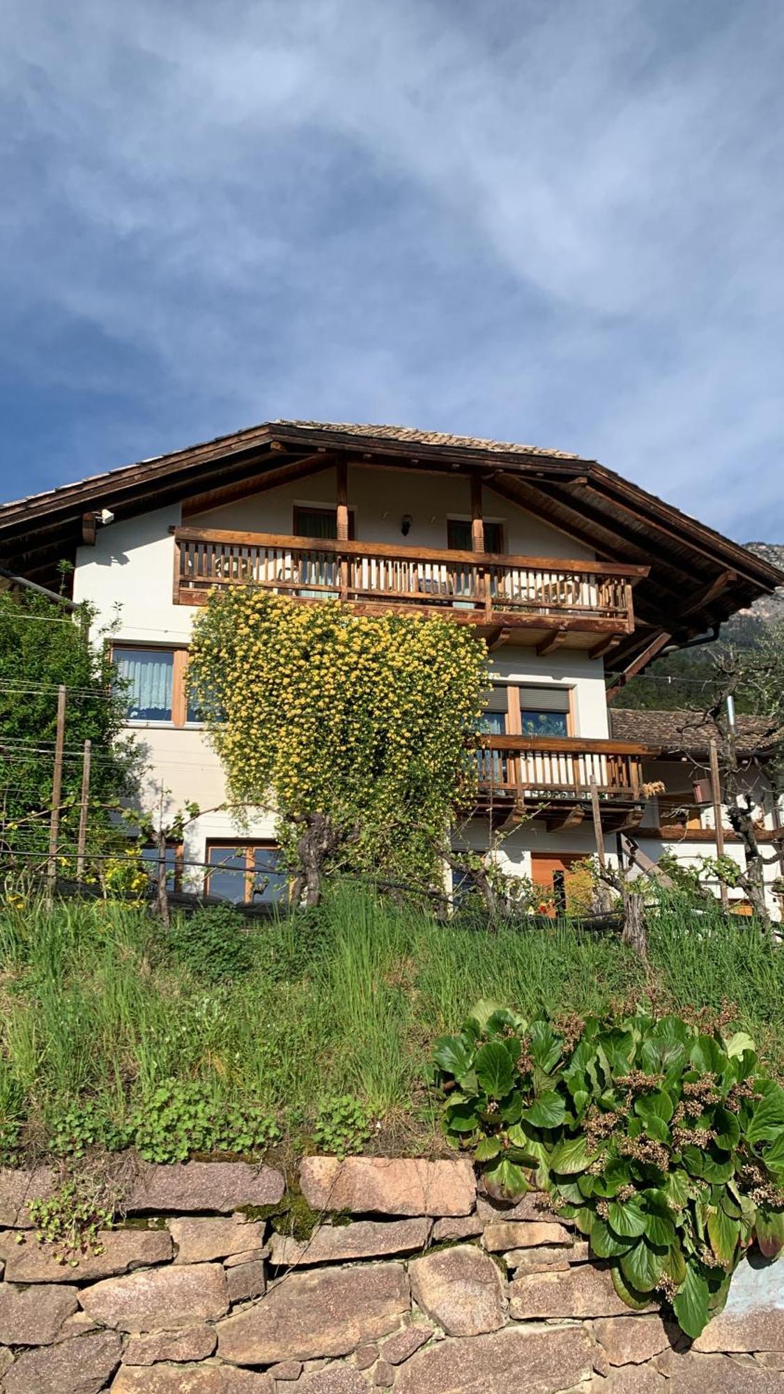 Gfillhof Ferienwohnung 1 Аппиано-Сулла-Страда-дель-Вино Экстерьер фото